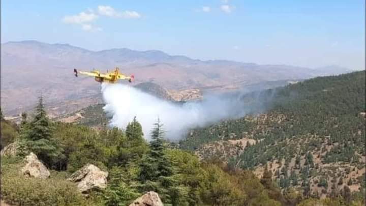 طائرات “كنادير ” وفرق اطفاء لاخماد حريق بمنطقة تارجيست ضواحي الحسيمة