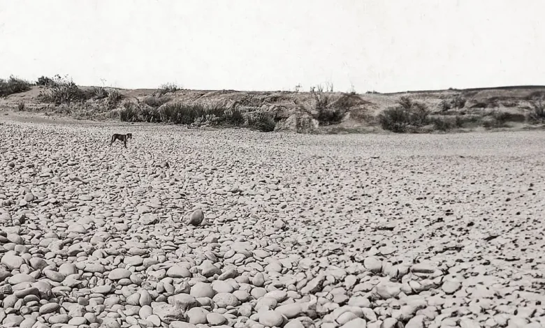 نهر أم الربيع.. حكاية ثاني أكبر نهر بالمغرب بين الأمس واليوم