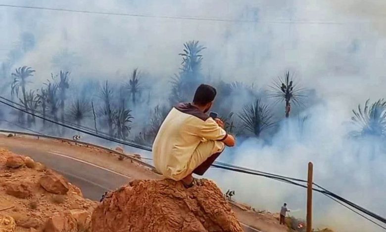 واحات المغرب .. حرائق لاتنتهي ومجهودات للحماية والاستدامة
