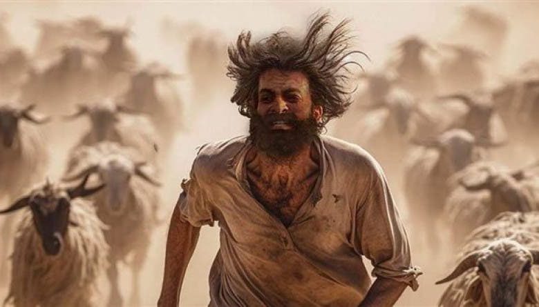 مغاربة يشبهون عروض عمل وكالة “أنابيك” الهزيلة بفيلم “حياة الماعز”
