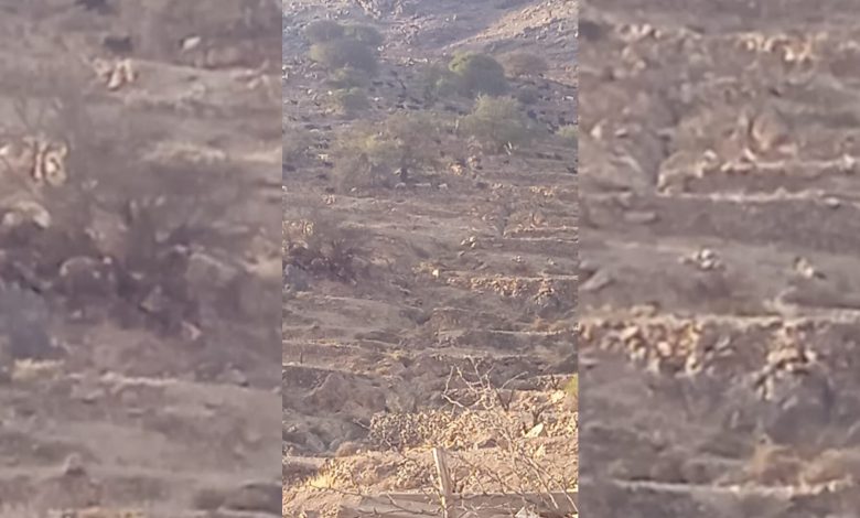 تيزنيت ..ساكنة “إداوسملال” تستنكر استغلال محاصيلها من “الرحالة “