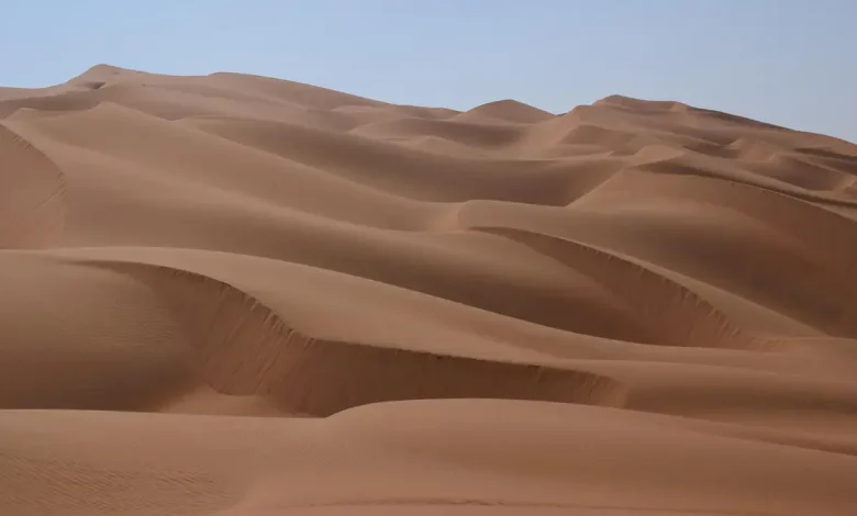 قتل زوجته وتخلص من جثتها في الصحراء!