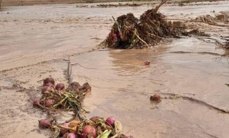 الأمطار الرعدية والسيول تتلف المحاصيل الزراعية وتقطع الطرق ببولمان