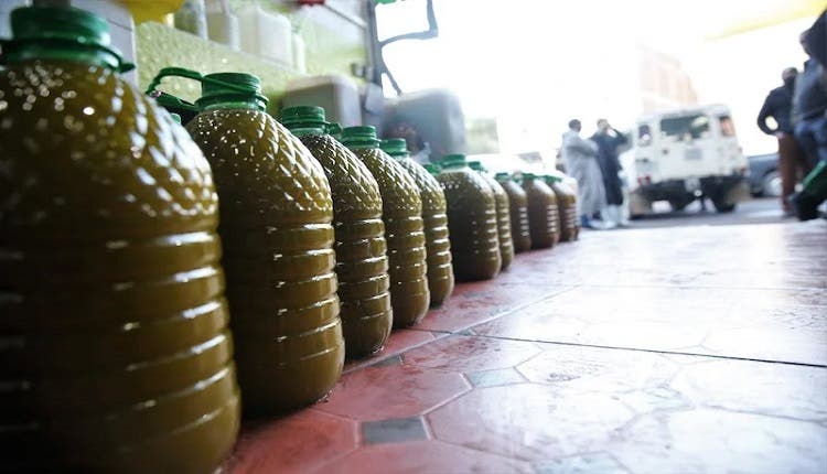 لتر زيت الزيتون بـ 150 ..مطالب لوزير الفلاحة بحماية جيوب المواطنين