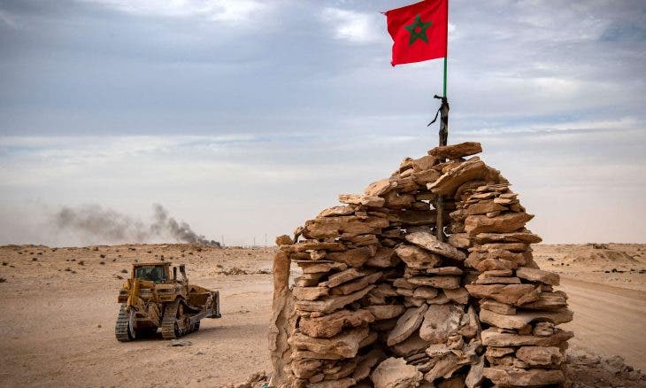 المغرب يعتزم إطلاق مشروع زراعي في الصحراء المغربية
