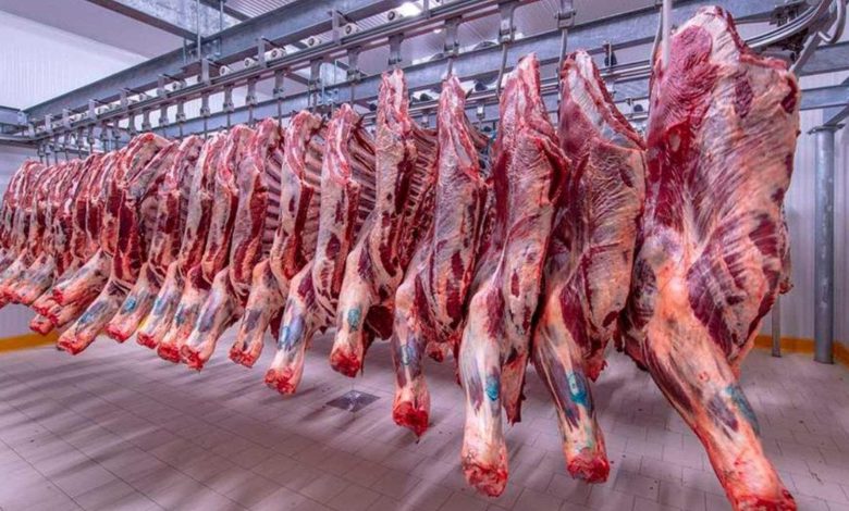 بايتاس: إجراءات الحكومة لمواجهة ارتفاع أسعار اللحوم الحمراء “أعطت نتائجها”