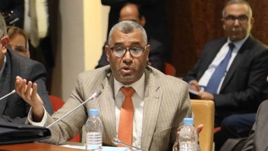 بوانو: “الحكومة تسرع إخراج مشاريع القوانين فقط إذا تعلقت بالكبار”