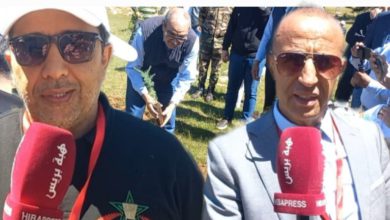 إفران تحتفي بالأرز: شيفات المغرب في حملة بيئية لغرس رمزية الأطلس المتوسط (فيديو)