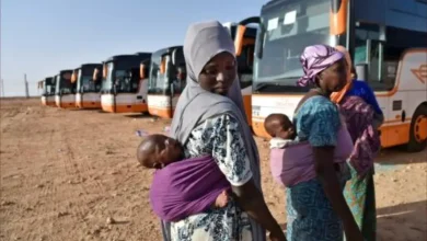 تركتهم يموتون بصحراء النيجر.. الجزائر تواصل طرد المهاجرين الأفارقة