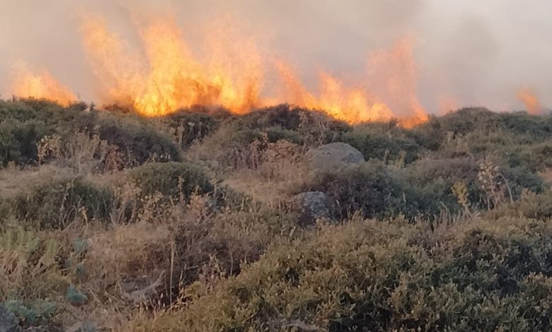 جرادة.. حريق يلتهم أجزاء من غابة بني يعلى بجماعة العوينات