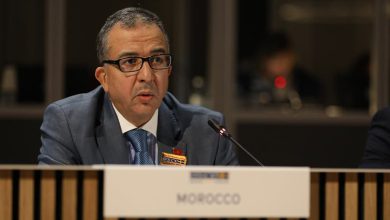 فيينا.. المغرب يدعو لحكامة أمنية مندمجة لمكافحة الجريمة المنظمة