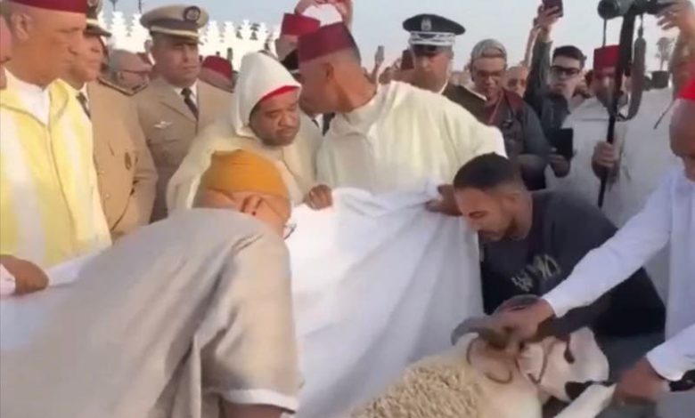 من ورط والي جهة مراكش آسفي في فضيحة نحر أضحية العيد؟ – صور