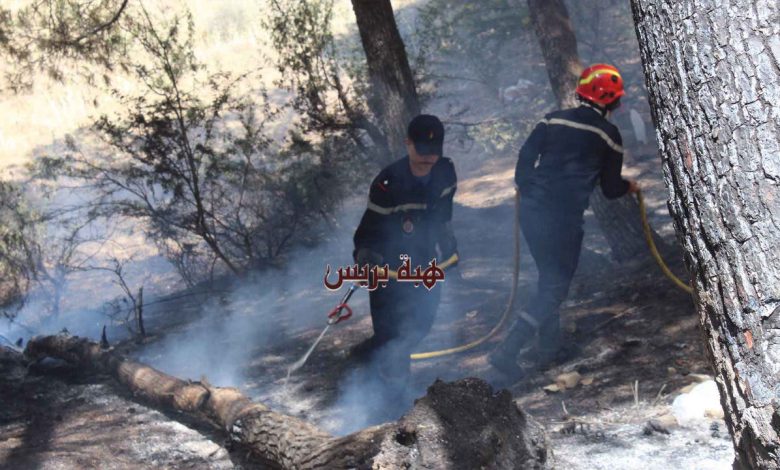 طنجة.. الوقاية المدنية تسيطر على حريق بغابة الخرب والتحقيق جارٍ لتحديد أسبابه (صور)