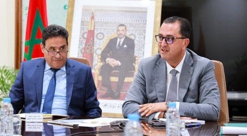اجتماع جهوي لإعادة تكوين قطيع الماشية في جهة طنجة-تطوان-الحسيمة