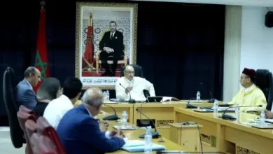 اجتماع حول عملية إعادة التشكيل المستدام لقطيع الماشية بقلعة السراغنة