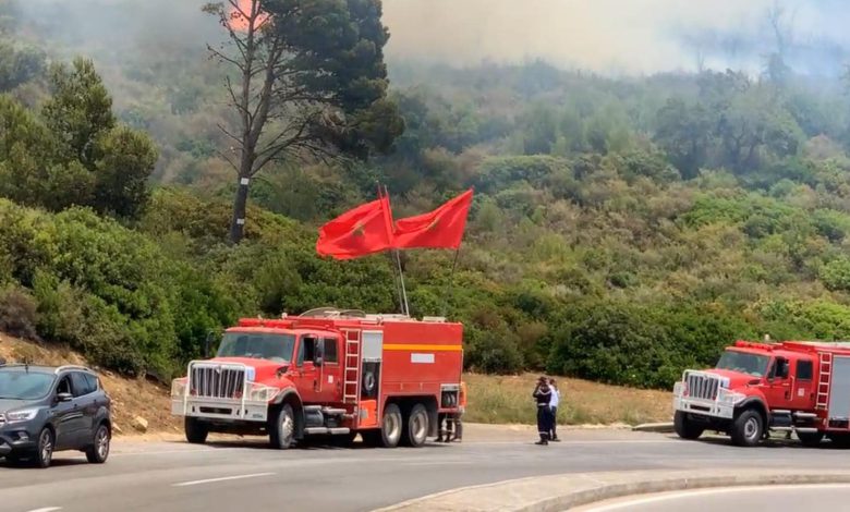 استنفار أمني واسع بسبب حريق مهول بغابة عين الحصن بين تطوان وطنجة