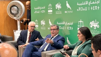 الأغلبية الحكومية تشيد بتماسك مكوناتها وتطابق مواقفها