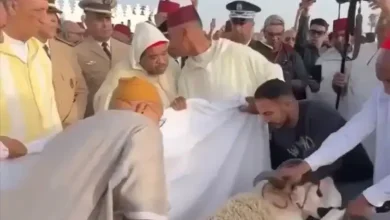 بعد إعفاء ولاة مراكش وفاس.. هل يتحمل رئيسا المجلس العلمي المسؤولية؟