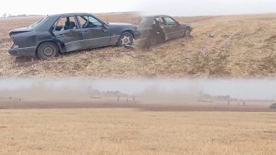 سيوف وحجارة وإصابات بليغة.. رعاة صحراويون يقتحمون أراضي فلاحية بسطات