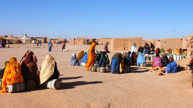 نفذها الجيش الجزائري.. منظمات دولية تفضح إعدامات المدنيين الصحراويين في جنيف