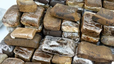 إحباط عملية تهريب كمية كبيرة من مخدر “الشيرا” في ميناء بني أنصار