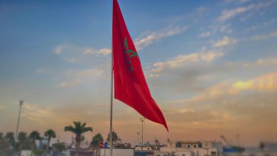 المغرب ينفرد بخارطة استثمارية فريدة تسحب البساط من دول إفريقيا