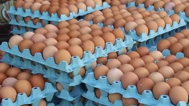 رغم تعود المغاربة على انخفاضه في الصيف.. سعر البيض يستقر في درهم ونصف
