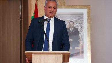 زيدان: اللجنة الوطنية للاستثمار صادقت على 237 مشروعا