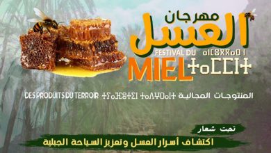 مهرجان العسل يعود في نسخة “أقصري 2025” للاحتفاء بكنوز الطبيعة والسياحة الجبلية