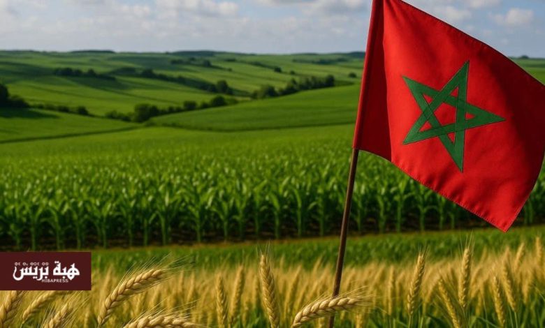 السقي التكميلي.. تهيئة مليون هكتار لرفع الإنتاج إلى 80 مليون قنطار من الحبوب والبقوليات
