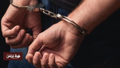 الصويرة.. سقوط مروج لأقراص مهلوسة بحوزته 700 حبة