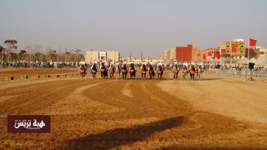 جرسيف.. إعطاء الانطلاقة الرسمية للنسخة الثانية من المهرجان الإقليمي للتبوريدة