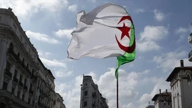 جريمة بشعة في الجزائر.. شاب يطعن والدته المسنة حتى الموت