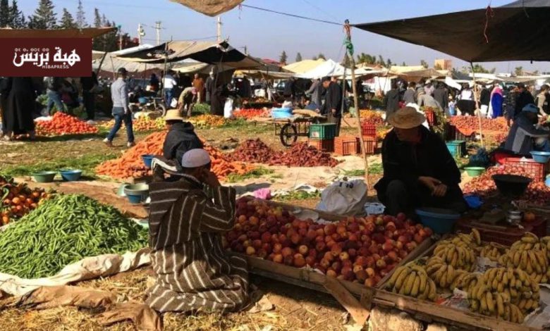 15شهراً لإنجاز ملعب بمواصفات عالمية.. وسوق ميدلت عالق منذ سنوات!