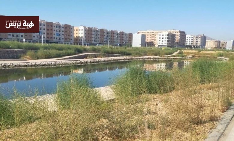 الناظور.. الملايين تصرف على المساحات الخضراء والنباتات الأصلية وحدها تنتصر