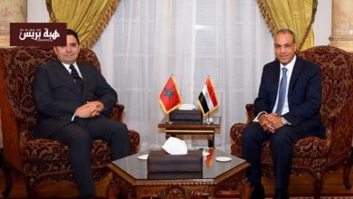 بوريطة يلتقي نظيره المصري بالقاهرة لتعزيز العلاقات الثنائية