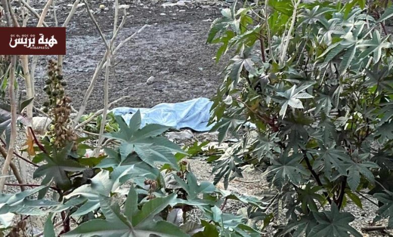 طنجة.. العثور على جثة مسن مفقود منذ أسبوعين بواد بير الشفاء
