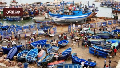 ميناء طانطان يسجل ارتفاعاً بـ81% في كميات الصيد