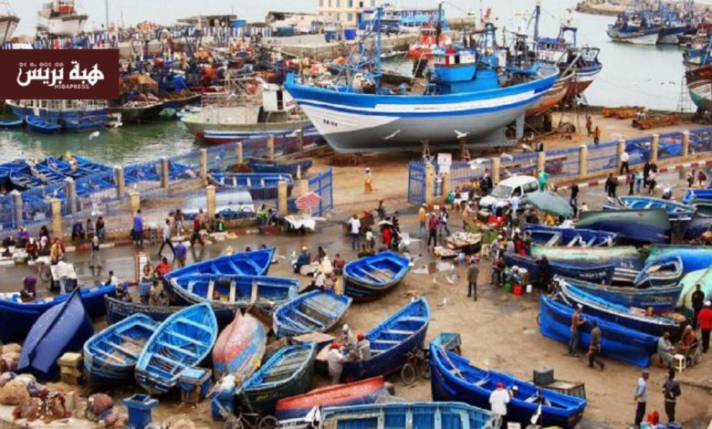 ميناء طانطان يسجل ارتفاعاً بـ81% في كميات الصيد